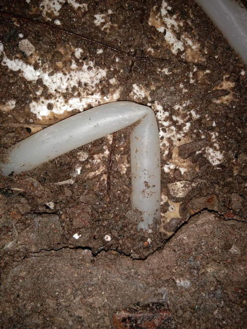 汝南堵点精准查找